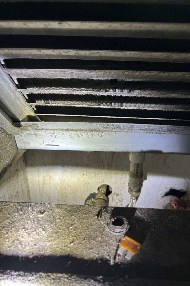 Mold inside an HVAC return duct in an Elkins Park, PA apartment, documented during a mold test