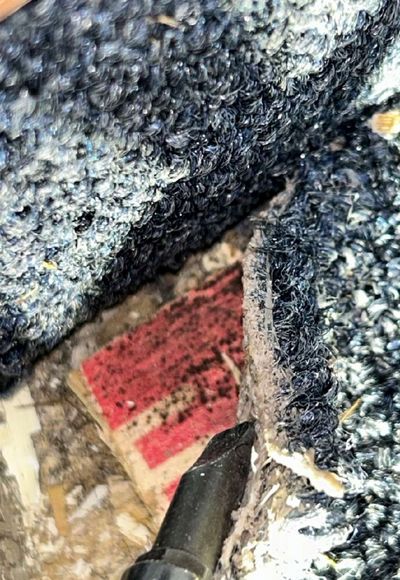 Mold growth on the carpet and tack strip in a back closet of a Silverdale PA commercial office, swabbed during a May 2026 mold test