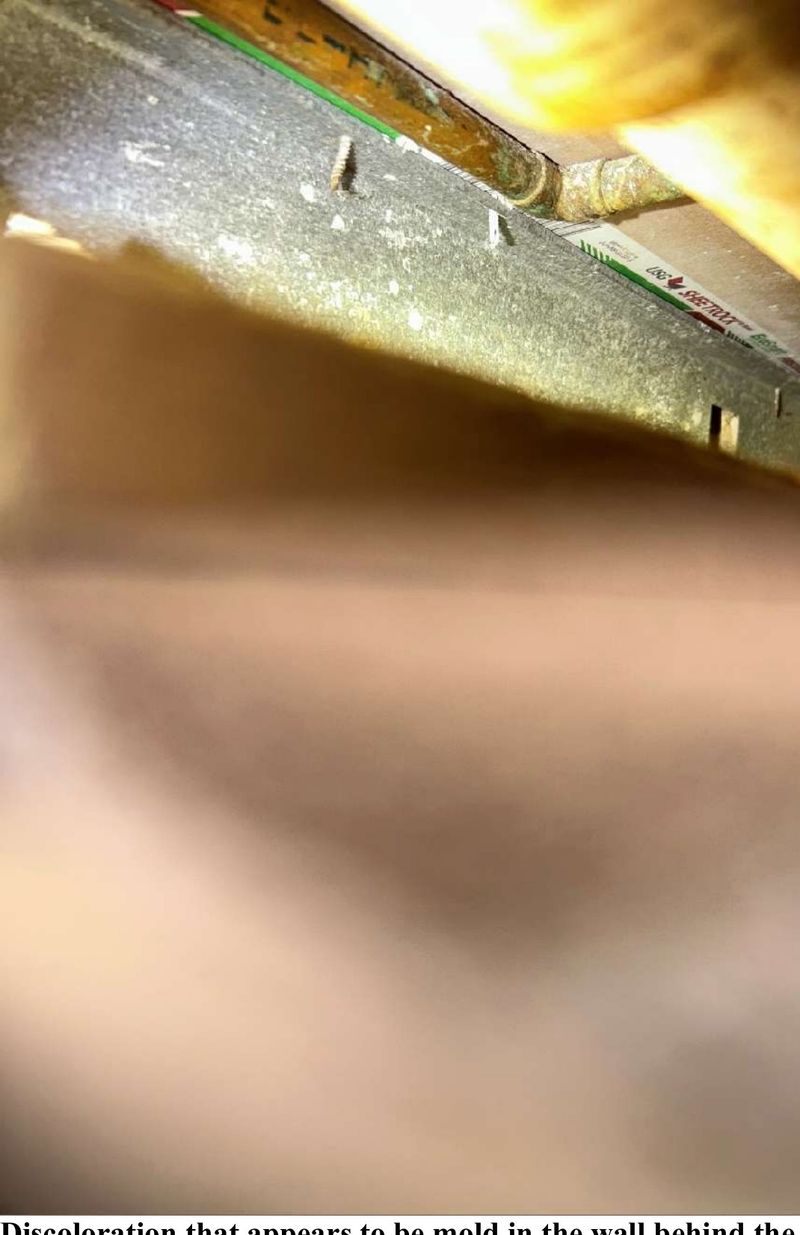 Mold around a washing machine drain box in an Elkins Park, PA home during a home inspection