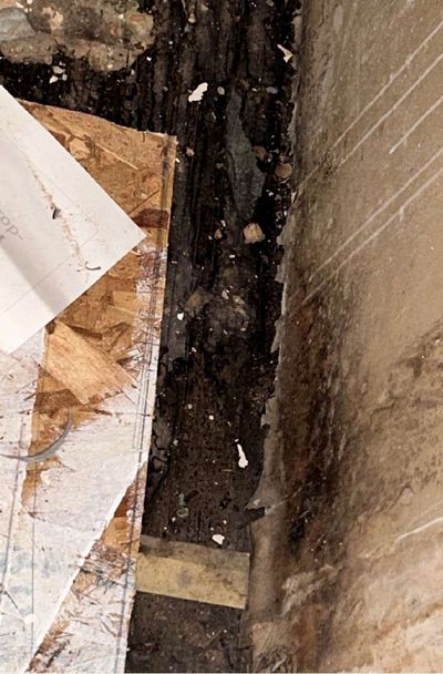Dark mold growth along wood framing inside a narrow HVAC closet wall void in a Philadelphia rowhome basement