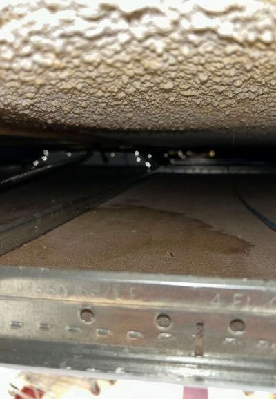 Mold growth along the underside of a ceiling tile and the metal grid in a Pottstown PA commercial building, September 2026 mold testing