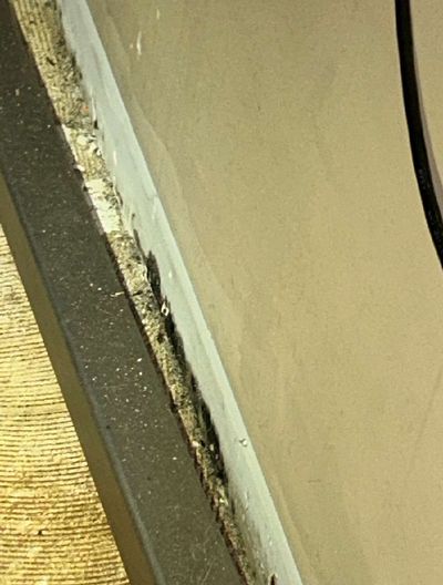 Closeup of Stachybotrys mold growth along the baseboard and floor edge of a commercial building in Perkasie PA — mold visible in the gap between wall and flooring