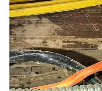 Termite shelter tubes running along floor joists in a Germantown, PA basement