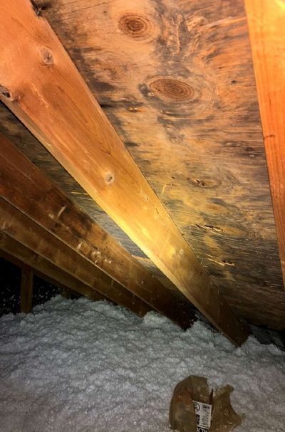 Mold discoloration on attic roof decking near the ridge of a Lafayette Hill PA home, documented during a September 2025 PRO-LAB mold test