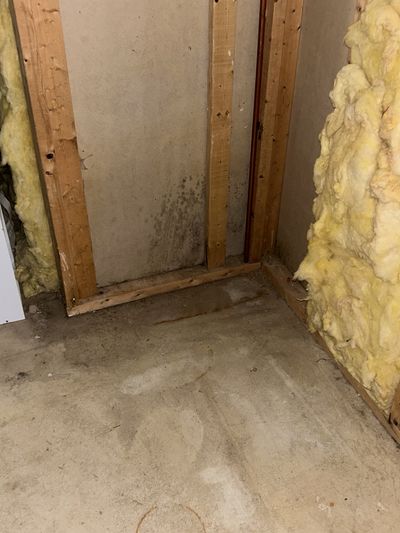 Mold visible on basement framing members and insulation in a corner where the rim band meets the foundation