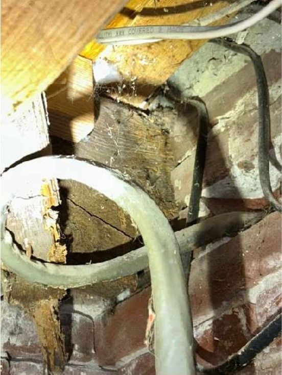 Termite damage on a floor joist in a Northeast Philadelphia, PA basement