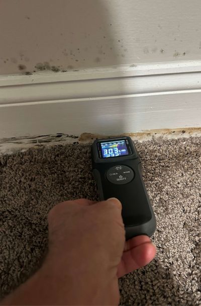 Moisture meter reading a high moisture level at a mold-affected closet baseboard in a Chestnut Hill high-rise condo during a June 2026 mold test