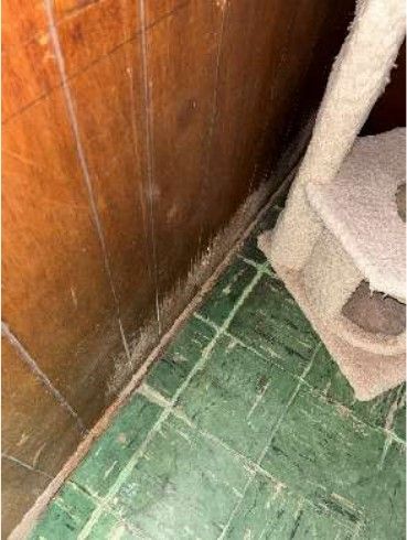 Nine-inch green vinyl floor tiles likely containing asbestos in a basement utility area at 7015 Large St Northeast Philadelphia, identified during a May 2026 home inspection