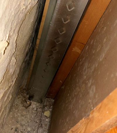 White speckled fungal growth on faced insulation and framing inside a wall cavity in an Ardmore PA basement, from the June 2026 mold test