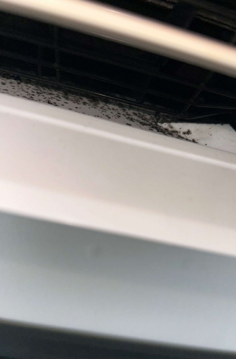 Mold on a mini-split air handler unit in a Chestnut Hill, PA condo, recorded during a mold inspection