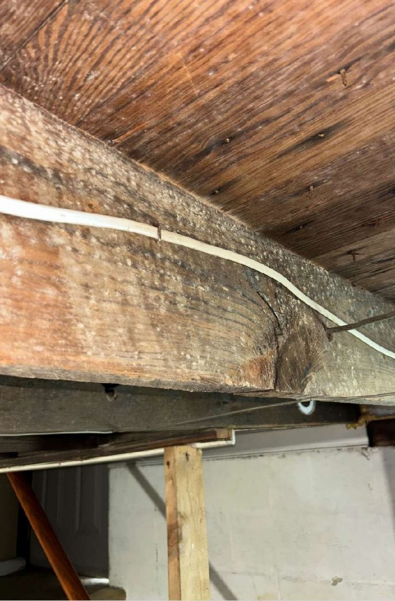 Mold growth on a basement joist in a Haddon Township, NJ home where air samples came back elevated