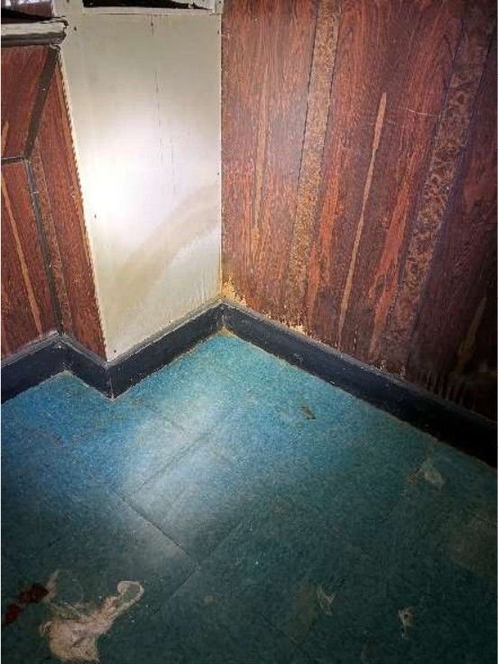 Water staining across a basement wall in a Logan, Philadelphia, PA home documented during a home inspection, evidence of past moisture intrusion