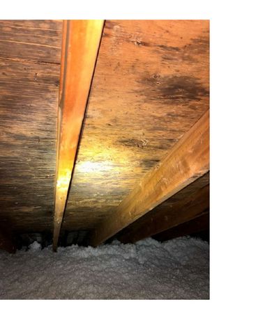 Wider view of mold discoloration pattern on attic sheathing above master bedroom area