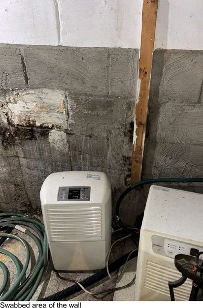 Basement wall area that was swabbed for mold testing in a Haddon Township NJ home, dehumidifiers running in the space, from an August 2026 test