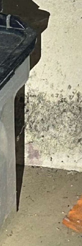 A dark band of mold growth along a crawl space foundation wall in an Ambler PA home, documented during a September 2026 mold test