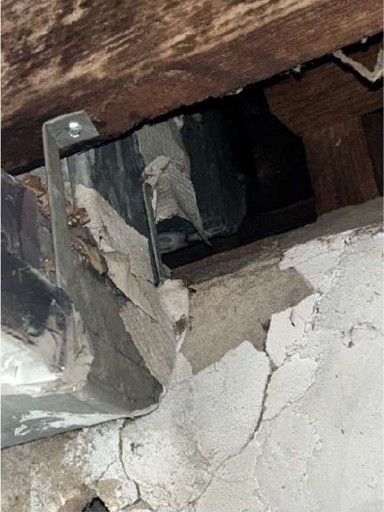 Termite shelter tubes on basement floor joists in a Willow Grove, PA home