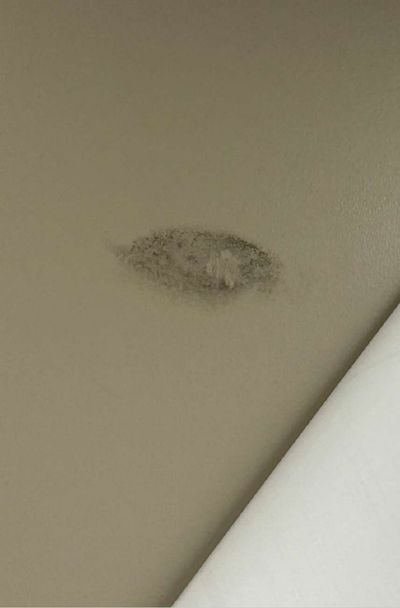 Oval patch of mold growth on the back-office wall of a commercial office suite in Folsom PA, sampled during August 2026 mold testing