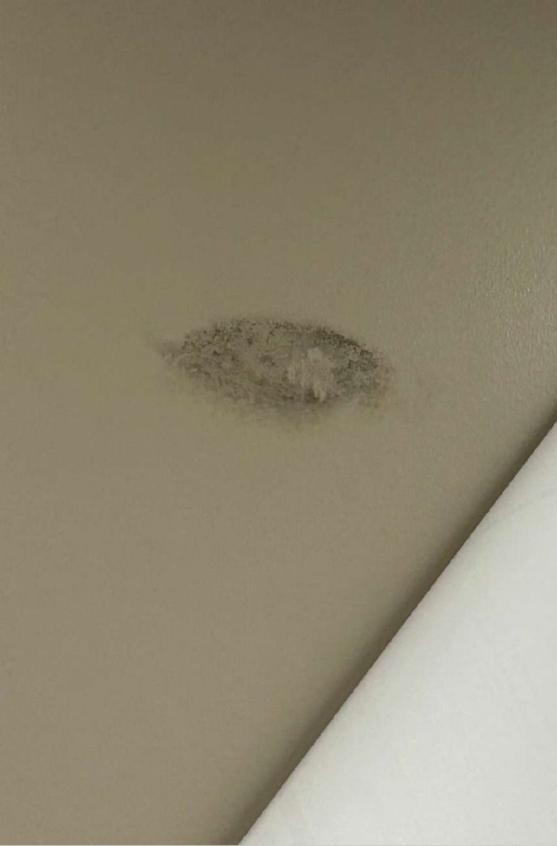 A patch of mold growth on a back-office wall in a Folsom, PA commercial office suite confirmed by swab sampling
