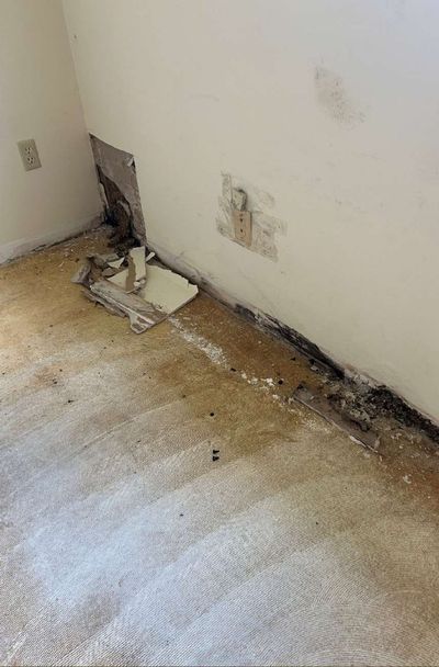 Water staining and mold at the base of an interior wall with exposed carpet pad in a Dublin PA commercial building, June 2026 mold testing