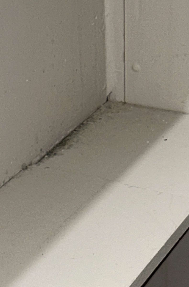 Mold in a closet corner inside a Chestnut Hill, PA condo unit, photographed during a mold test